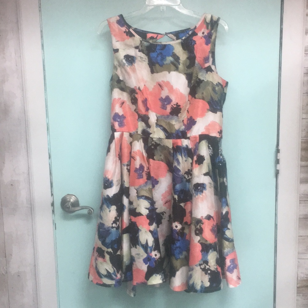 Danny and Nicole Dress